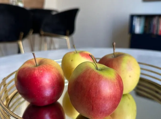 Apartman Idylla W Sercu Wroclawia Na Ostrowie Tumskim